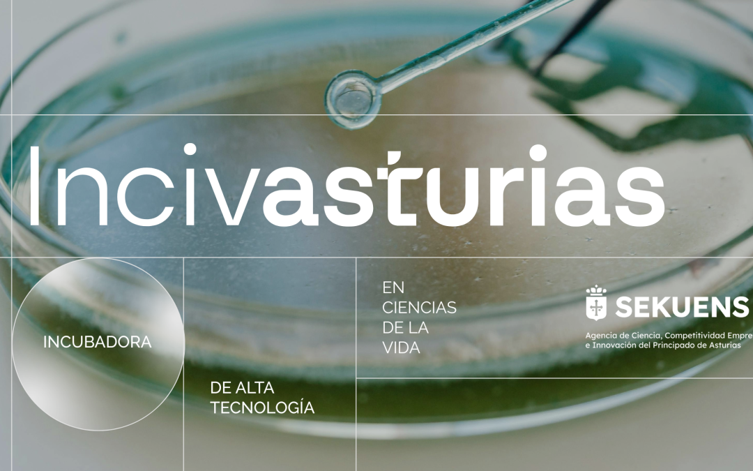 Incivasturias, de Agencia Sekuens